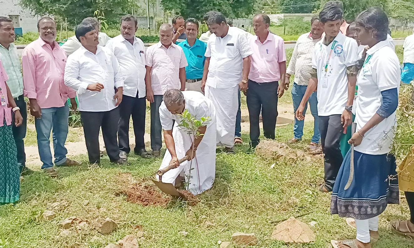 அதியமான் கோட்டையில் தூய்மையே சேவை திட்ட பணி முகாம் அதியமான் கோட்டையில் தூய்மையே சேவை திட்ட பணி முகாம்