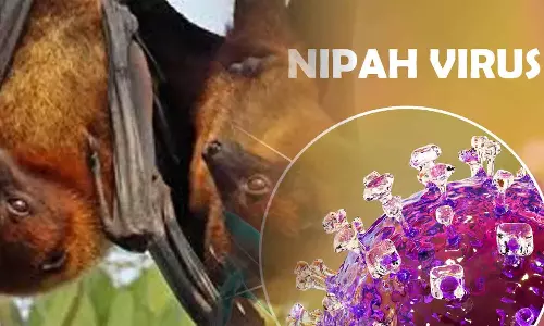 நிபா வைரஸ் எதிரொலி: தேக்கடிக்கு சுற்றுலா பயணிகள் வரத்து குறைவு