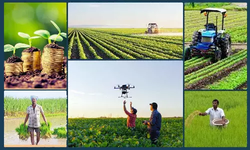 வங்கி  கடன் உதவி பெற்று வேளாண்   தொழில் தொடங்க பட்டதாரிகளுக்கு மானியம்