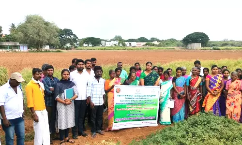 கோத்தகிரி தோட்டக்கலை சார்பில் சிறுதானியங்கள் சாகுபடி பயிற்சி