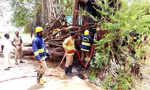 கீழப்பாவூரில் 150 ஆண்டுகள் பழமை வாய்ந்த ஆலமரம் தீ விபத்தில் சேதம்