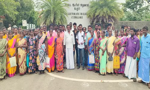 பழங்குடி இருளர் சமூகத்திற்கு வீட்டு மனை வழங்க கோரி கலெக்டர் அலுவலகத்தில் மனு