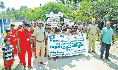 அரசு பள்ளியில் மரக்கன்றுகள் நடும் விழா