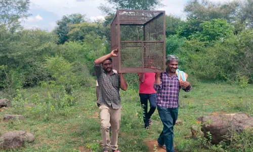 காடையாம்பட்டி அருகே சிறுத்தை நடமாட்டம்?