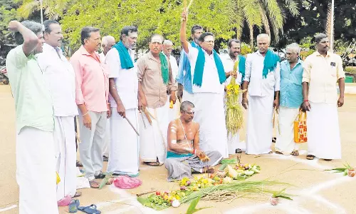 உரிய காவிரி நீர் வழங்கக்கோரி நெற்பயிர்களுக்கு திதி கொடுத்து விவசாயிகள் நூதன போராட்டம்