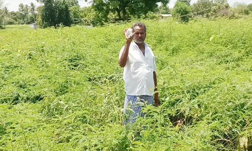 பல ஆண்டுகளாக செயல்பட்டு வரும்  கல்குவாரியால் விவசாயம் பாதிக்கும் அபாயம்