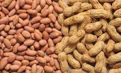 வேளாண் பொருட்கள் ரூ38.49 லட்சத்துக்கு விற்பனை