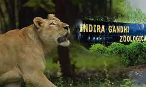 விசாகப்பட்டினம் உயிரியல் பூங்காவில் பெண் சிங்கம் திடீர் மரணம்