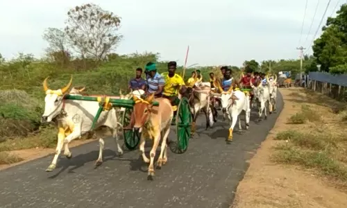 மாட்டுவண்டி எல்கை பந்தயம்