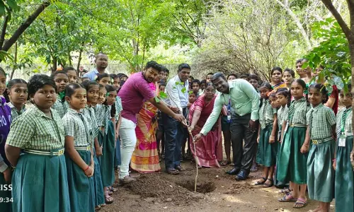 ராமசாணிக்குப்பம் பள்ளியில் மரக்கன்றுகள் நடப்பட்டது