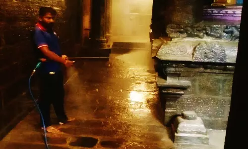 நெல்லையப்பர் கோவிலில் தூய்மை பணி