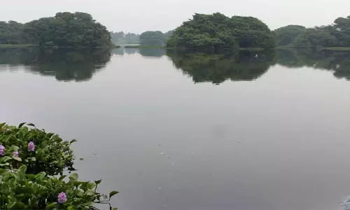 சேலம் மாவட்டத்தில் மழை நீடிப்புஏரி, குளங்களுக்கு நீர்வரத்து அதிகரிப்பு