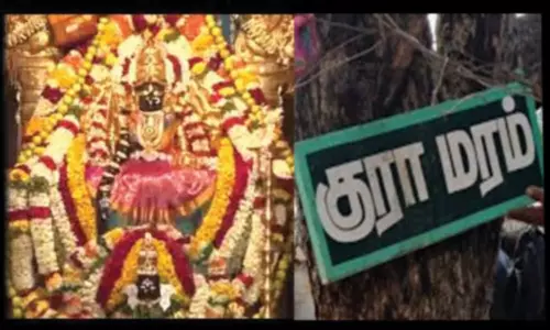 பங்குனி உத்திரப்பூ