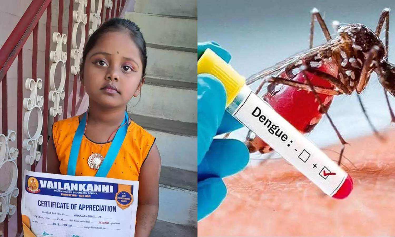 மருத்துவமனையில் டெங்கு காய்ச்சலுக்கு சிகிச்சை பெற்று வந்த சிறுமி பலி மருத்துவமனையில் டெங்கு காய்ச்சலுக்கு சிகிச்சை பெற்று வந்த சிறுமி பலி