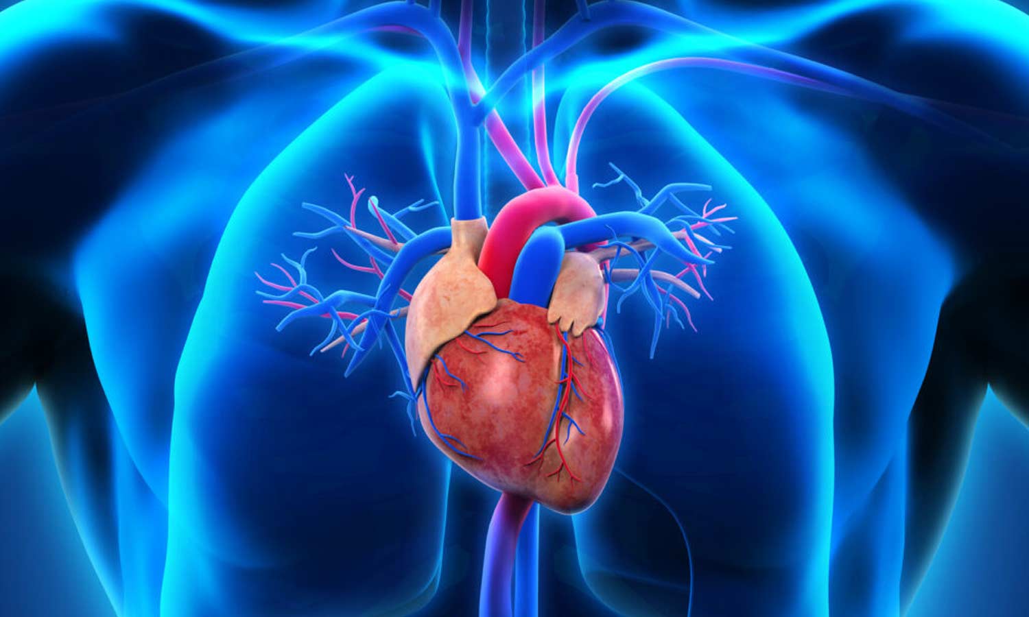 இதய நோயாளிகளின் எண்ணிக்கை பல மடங்கு அதிகரிப்பு- 4 மாதத்தில் 40 ஆயிரம் பேர் சிகிச்சை