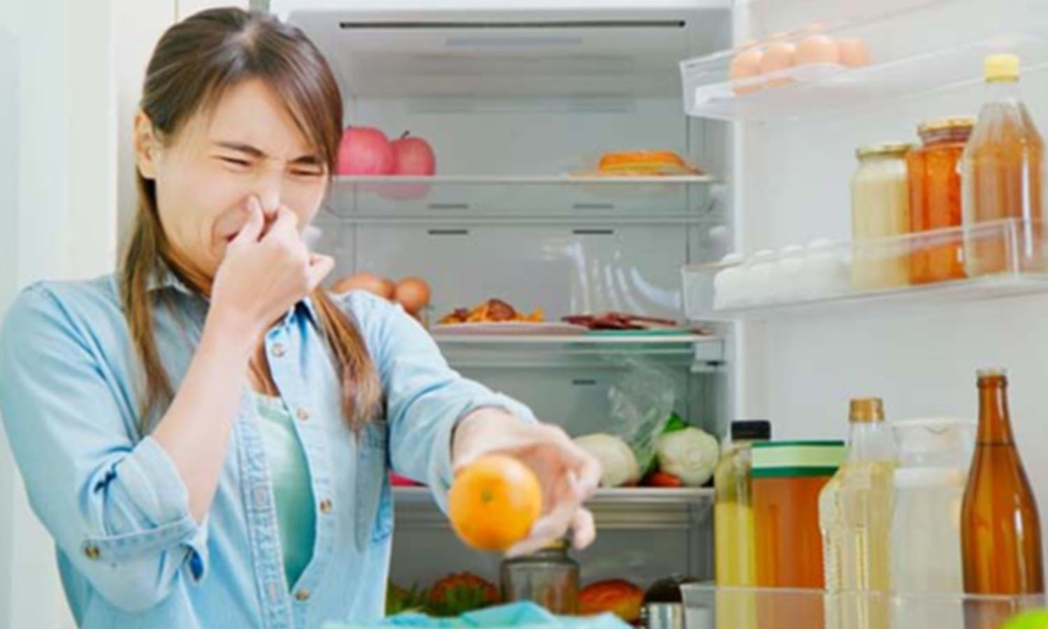 ஃபிரிட்ஜை பராமரிக்க சில டிப்ஸ்...