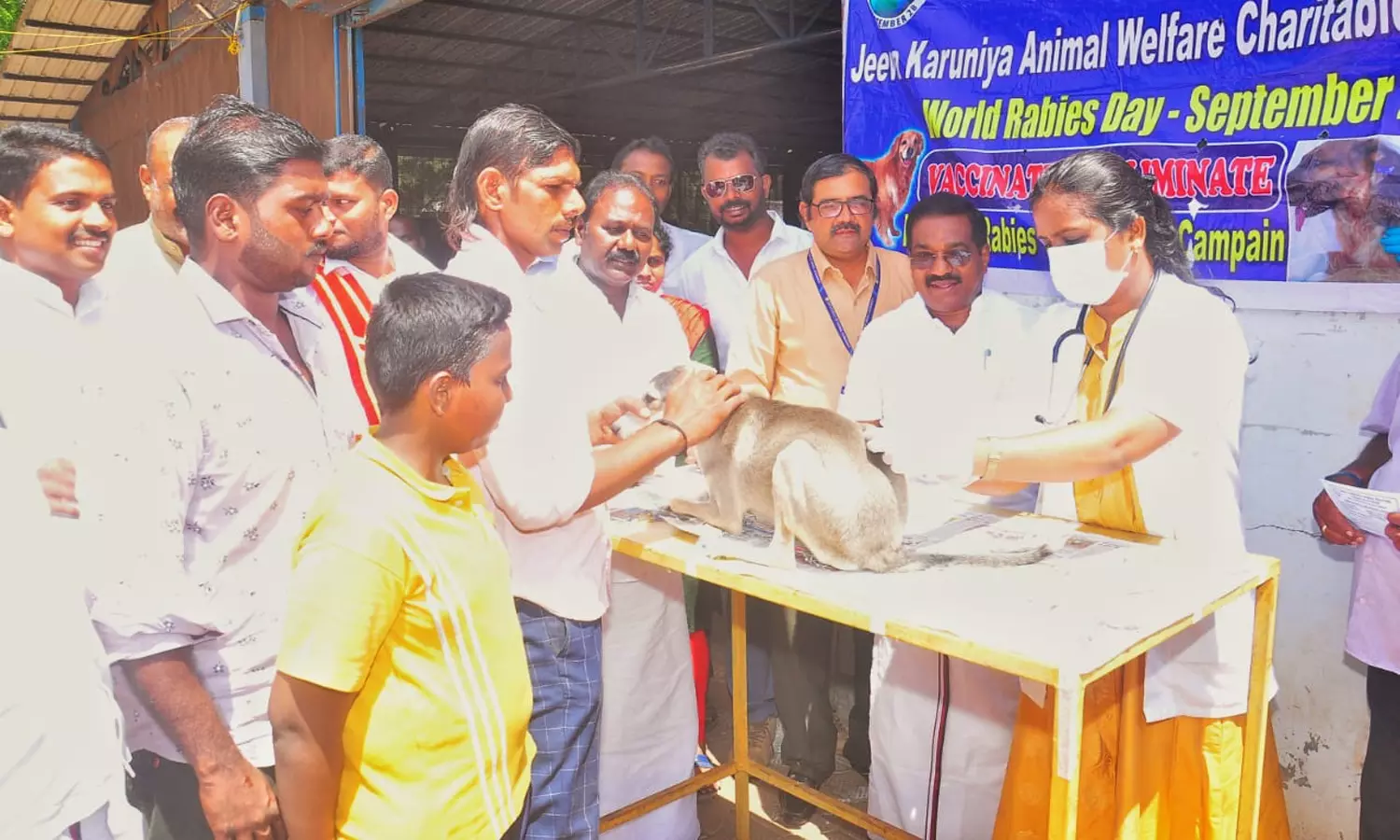 உலக வெறிநோய் தினத்தையொட்டி குமரி மாவட்டத்தில் 12 இடங்களில் தடுப்பூசி முகாம்கள் உலக வெறிநோய் தினத்தையொட்டி குமரி மாவட்டத்தில் 12 இடங்களில் தடுப்பூசி முகாம்கள்