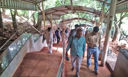 திருப்பதி நடைபாதையில் சிறுத்தை நடமாட்டத்தை கட்டுப்படுத்த தொழில்நுட்ப வல்லுநர்கள் ஆய்வு