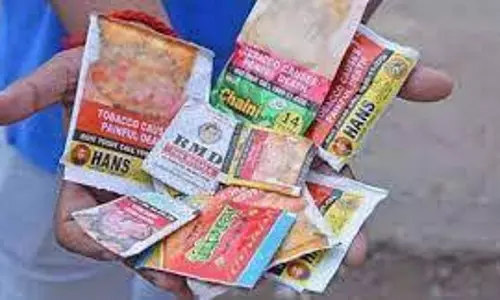 தடை செய்யப்பட்ட குட்கா விற்றவர் மீது வழக்கு