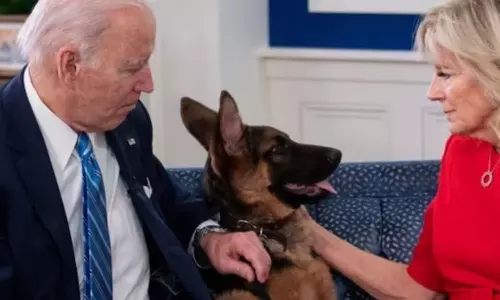 11-வது முறையாக பாதுகாப்பு ஊழியரை கடித்த ஜோ பைடனின் வளர்ப்பு நாய்
