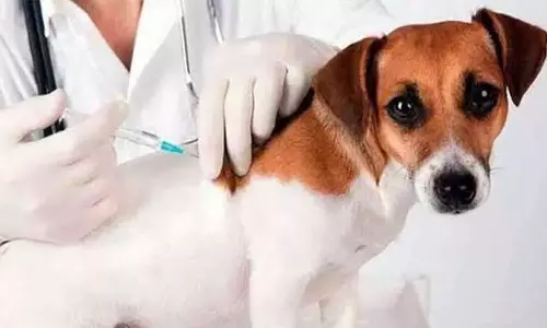 இன்று உலக ரேபிஸ் விழிப்புணர்வு தினம்