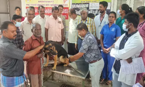 உலக ரேபிஸ் தினத்தையொட்டி திண்டுக்கல்லில் நாய்களுக்கு சிறப்பு தடுப்பூசி முகாம்