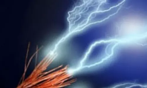 மின்சாரம் தாக்கி தொழிலாளி சாவு