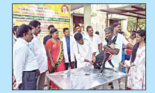 வெறிநோய் தடுப்பூசி முகாம்