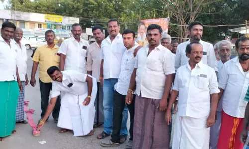 சேரன்மகாதேவியில்  அ.தி.மு.க.வினர் பட்டாசு வெடித்து கொண்டாட்டம்