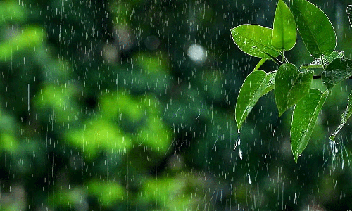ஈரோடு மாவட்ட அணை பகுதிகளில் பரவலாக பெய்த மழை