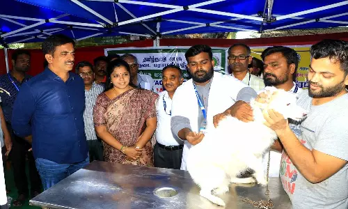 2 ஆயிரம் செல்ல பிராணிகளுக்கு தடுப்பூசி