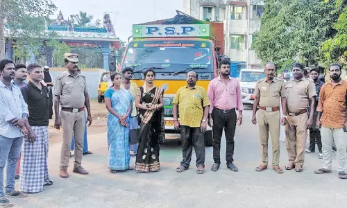 சாலைகளில் சுற்றி திரிந்த 65 பன்றிகள் பிடிக்கப்பட்டது
