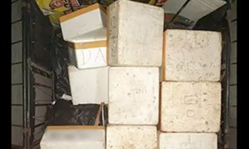 தமிழகத்தில் இருந்து இலங்கைக்கு கடத்தப்பட்ட 1,236 கிலோ பீடி இலைகள் பறிமுதல்: 2 பேர் கைது