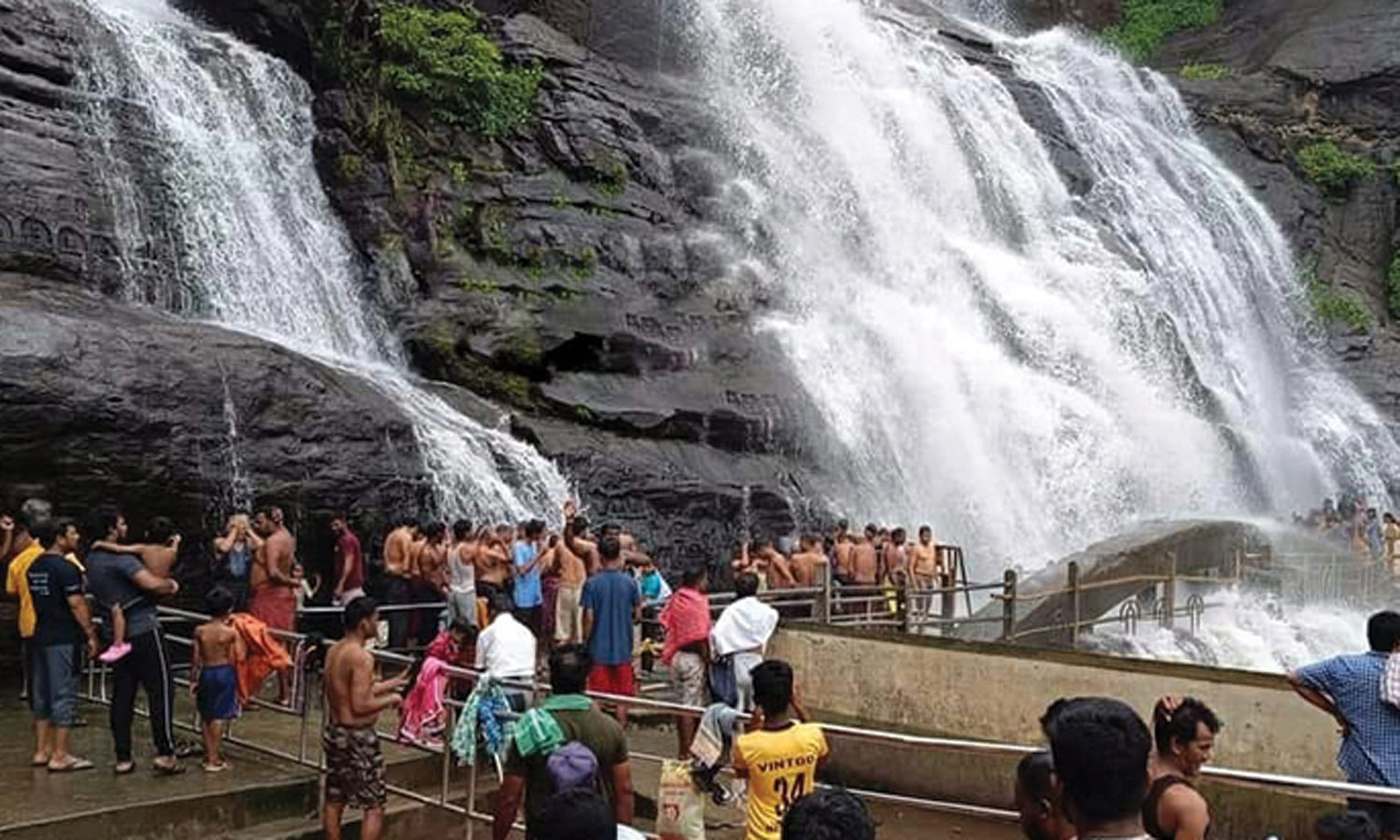 தென்காசியில் தொடர் மழை: அடவிநயினார் அணை நீர்மட்டம் 98 அடியை எட்டியது