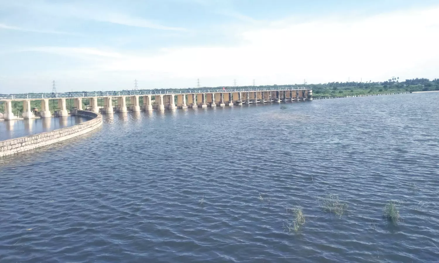 பாலாறு அணைக்கட்டில் இருந்து கால்வாய்களில் தண்ணீர் திறப்பு பாலாறு அணைக்கட்டில் இருந்து கால்வாய்களில் தண்ணீர் திறப்பு