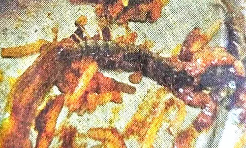 பிரியாணியில் கிடந்த பூரான்- அசைவ பிரியர்கள் அதிர்ச்சி