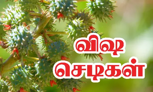 நத்தம் அருகே விஷ செடி விதைகளை தின்ற 7 குழந்தைகள் பாதிப்பு