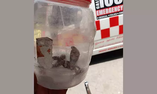 வாணியம்பாடி அரசு ஆஸ்பத்திரியில் கடித்த பாம்புடன் சிகிச்சைக்கு வந்த தொழிலாளி