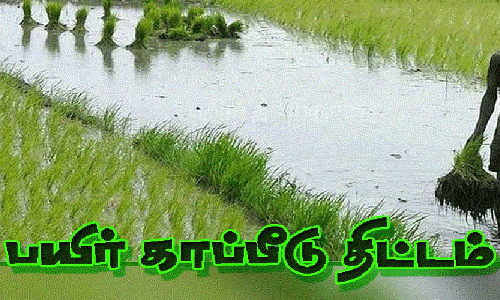 நெல் சாகுபடி செய்த விவசாயிகள் நவம்பர் 15-ந்தேதி வரை காப்பீடு செய்யலாம்