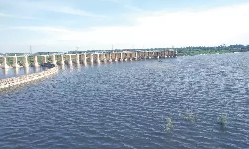 பாலாறு அணைக்கட்டில் இருந்து கால்வாய்களில் தண்ணீர் திறப்பு