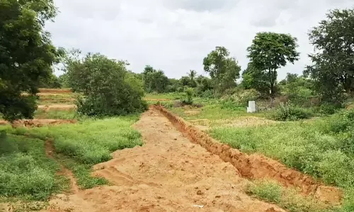 கால்நடைதுறைக்கு சொந்தமான நிலத்தில் வழிப்பாதை அமைத்து தர கோரிக்கை