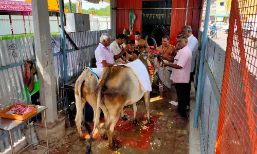 பல்லடம் செல்வ விநாயகர் கோவிலில் கோ பூஜை