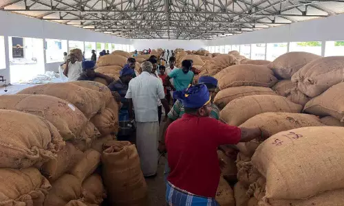 வெள்ளகோவிலில் ரூ.11 லட்சத்திற்கு சூரியகாந்தி விதை ஏலம்