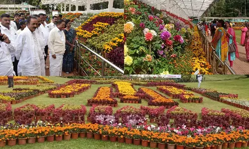 ஊட்டியில் 2-வது சீசன் தொடக்கம்: தாவரவியல் பூங்காவில் பூத்துகுலுங்கிய மலர்களை கண்டுகளித்த சுற்றுலாபயணிகள்