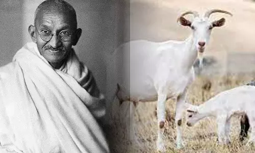 அண்ணலும் ஆடும்