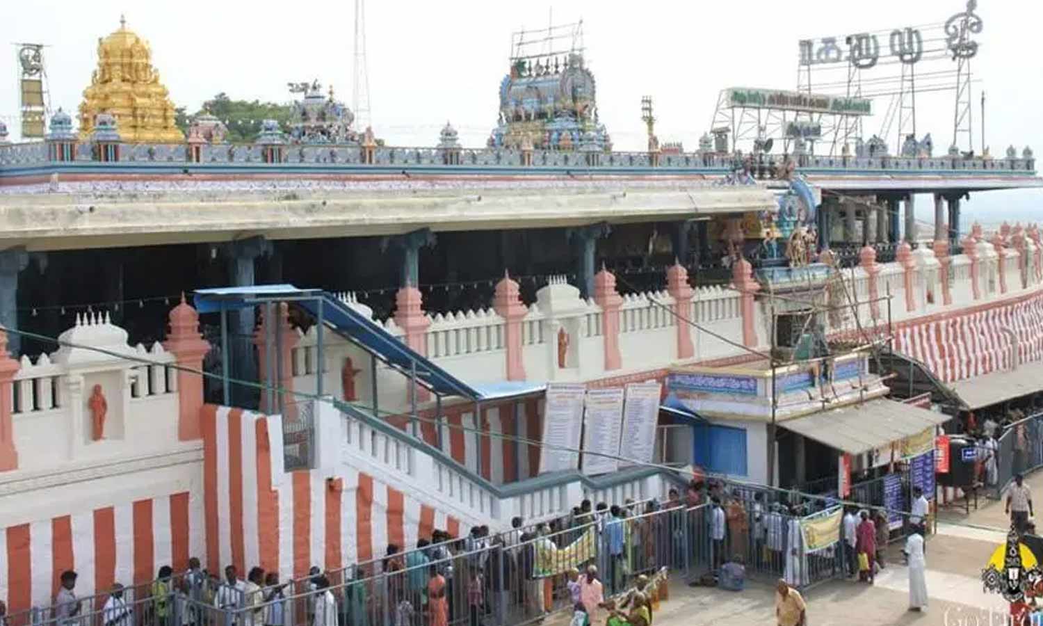 15 நாட்களில் திருத்தணி முருகன் கோவிலில் உண்டியல் காணிக்கை ரூ.65 லட்சம் வசூல்