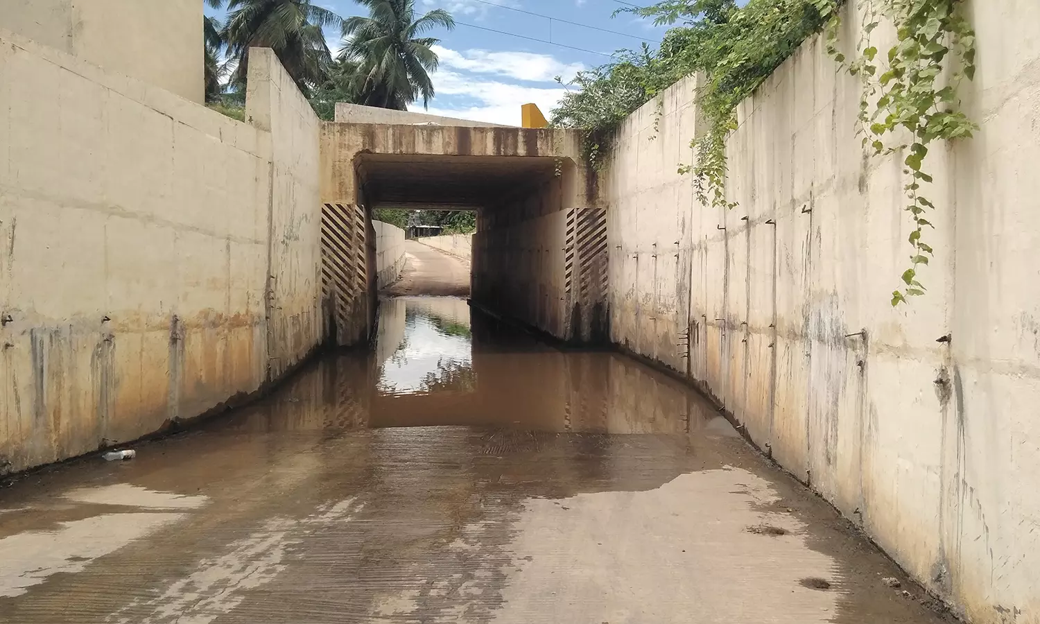 நாளை தூய்மை இந்தியா திட்டம் :அய்யலூர் ரெயில்வே சுரங்கப்பாதைக்கு விடிவு கிடைக்குமா? நாளை தூய்மை இந்தியா திட்டம் :அய்யலூர் ரெயில்வே சுரங்கப்பாதைக்கு விடிவு கிடைக்குமா?