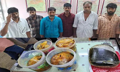 திமிங்கல உமிழ் நீர் கடத்தலில் மேலும் சிலருக்கு தொடர்பு