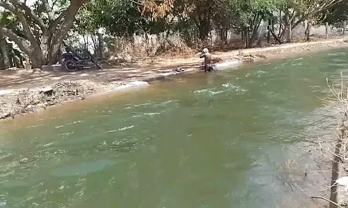 உடுமலை கால்வாயை சுத்தம் செய்த  அதிகாரிகளுக்கு விவசாயிகள் பாராட்டு