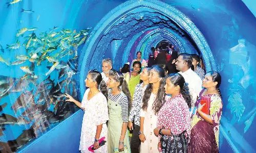 பார்வையாளர்களை பரவசத்தில் ஆழ்த்தும் ஆழ்கடல் குகை மீன்கள் கண்காட்சி